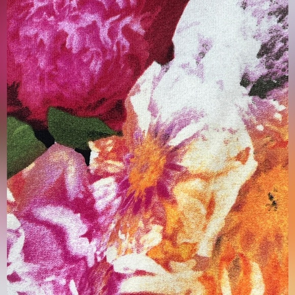 EUC Joseph Ribkoff Dress Multicolor Floral Striped Ruched Side Size 8 - Picture 8 of 11